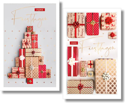 MGPcards - 2 doosjes à 10 Luxe dubbele wenskaarten - Kerst/Nieuwjaar - Foliebewerking - Witte envelop - 10.5 x 16 cm - 2 Motieven per doosje
