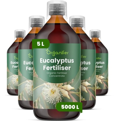 Vloeibare Meststof Voor Eucalyptus - 5X1 L Voor 5000 L - Npk 3-4-3 - Krachtige Groei - Sterke Wortels - Droogteresistentie - Scheutontwikkeling - Bladkleurintensiteit - Hittebestendig - Windbestendig - Aromatische Bladkwaliteit - Organifer