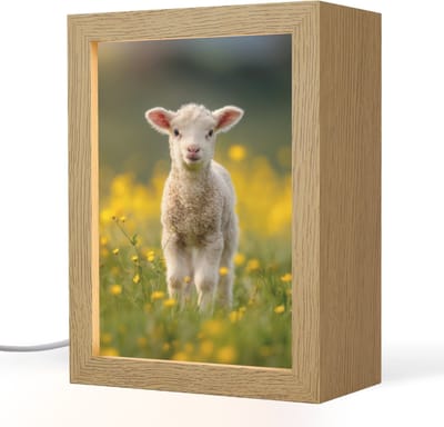 Nachtlampje 15x20 cm - Kinder lampje - Lammetje - Gras - Bloemen - Geel - Tafellamp kinderkamer - Slaapkamer lamp - Bedlamp kinderen - Kinderlampje stopcontact - Wandlamp babykamer - Nachtlampjes