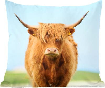 Sierkussens - Kussentjes Woonkamer - 60x60 cm - Schotse hooglander - Haar - Gras