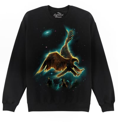 Adelaar Ruimte Heelal Eagle Galaxy The Coloured House Sweater S