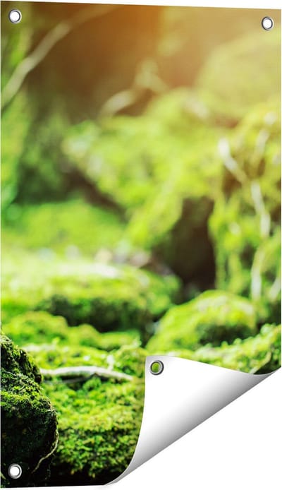 Gards Tuinposter Groen Mos Bedekt over Stenen - 40x60 cm - Tuindoek - Tuindecoratie - Wanddecoratie buiten - Tuinschilderij