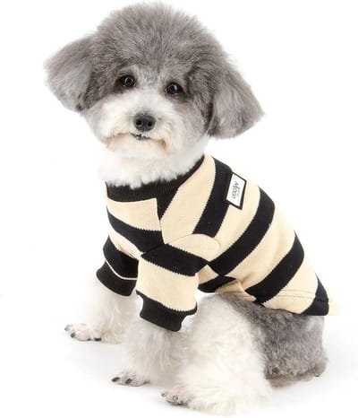 Winterse Gebreide Hondensweater voor Kleine Honden - Zachte Katoenen Trui voor Puppy’s - Warm en Comfortabel voor Chihuahua's en Andere Rassen - Verkrijgbaar in XXL en Gestreept Design