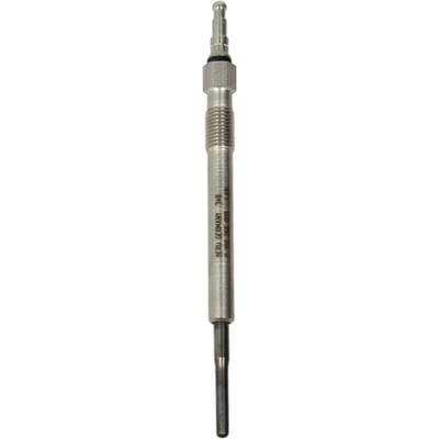 Gloeibougie BORG WARNER (BERU) GE 101