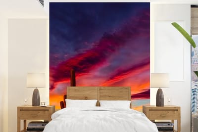 Behang - Fotobehang Cactus - Lucht - Zonsondergang - Paars - Roze - Breedte 195 cm x hoogte 260 cm
