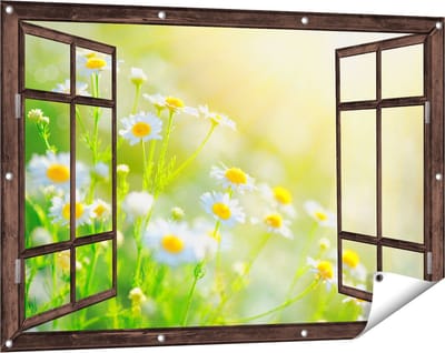 Gards Tuinposter Doorkijk Witte Kamille Bloemen met Zonneschijn - 120x80 cm - Tuindoek - Tuindecoratie - Wanddecoratie buiten - Tuinschilderij