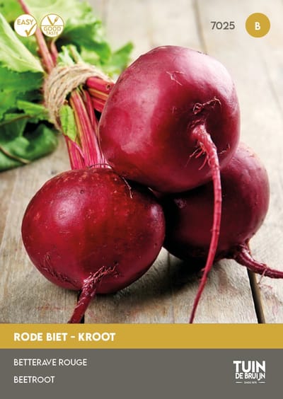Rode Biet Zaden Kogel 2 – Kroot – ±650 Zaden – Zomer en Herfstteelt – Moestuin Groentezaad – Beta Vulgaris – Ronde Rode Bieten – Hoge Opbrengst