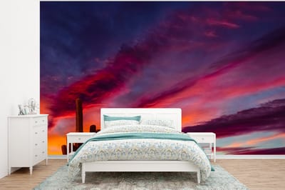 Behang - Fotobehang Cactus - Lucht - Zonsondergang - Paars - Roze - Breedte 375 cm x hoogte 280 cm