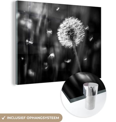 MuchoWow® Glasschilderij 40x30 cm - Schilderij acrylglas - Paardenbloem - Zwart - Wit - Plant - Foto op glas - Schilderijen