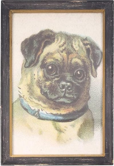 Lijstje hout zwart Mops, 34x23,5cm