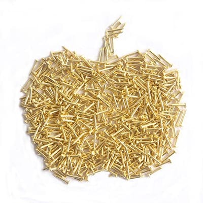 huruirui 1 x 10 mm Small Nails Iron Mini Wooden Nails for Photos Hanging Furniture Woodworking DIY Nails Decorative Pictures Golden 500pcs