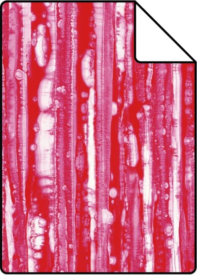 Proefstaal Origin Wallcoverings behang strepen rood en roze - 26,5 x 21 cm - 347218-S