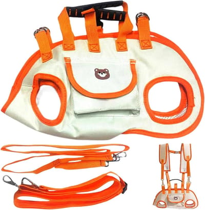 Draagbare Hondenrugzak - Reisdraagtas Huisdier - Comfortabel Reizen - Ademend Ventilatiesysteem - 20x10x5 cm - Kristal Oranje