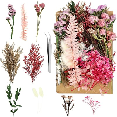 Allecto Plus - Roze droogbloemen met pincet voor knutselen en decoratie - Scrapbooking, kaarsen, sieraden - Duurzaam gedroogde bloemen - Strobloemen