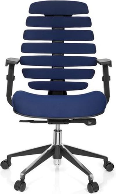 Ergonomische bureaustoel 101 model Ruggengraatstoel in Blauw