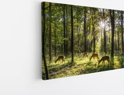 Saammp Canvas Schilderij - Natuur - 2 Bomen op Rotsen - landschappen - 45x30 - Foto op canvas - Wanddecoratie - Muurdecoratie Woonkamer - Slaapkamer decoratie - Canvas Print
