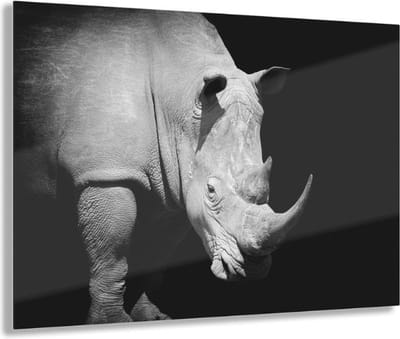 Indoorart - Glasschilderij Neushoorn 60x40 CM - Afbeelding op plexiglas - Inclusief montagemateriaal