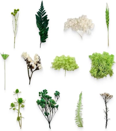 Solidchoice - Natuurlijke Decoratieve Gedroogde Bloemenboeket Groen