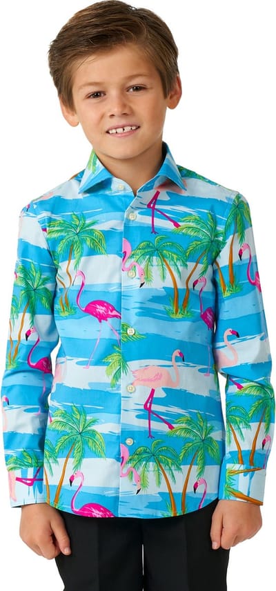 OppoSuits SHIRT LS Flaminguy Boys - Kids Carnavals Overhemd - Carnavalskleding - Zomer Shirt - Mix Kleur - Maat 2 Jaar