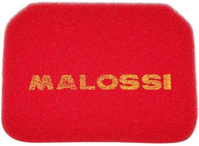 Malossi Luchtfilter voor Scooter Suzuki 400 Burgman 1999 tot 2006 1412432 Nieuw
