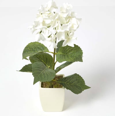 Homescapes Kunsthortensia's in witte pot, crème