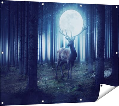 Gards Tuinposter Hert in het Bos tijdens Volle Maan - 120x90 cm - Tuindoek - Tuindecoratie - Wanddecoratie buiten - Tuinschilderij