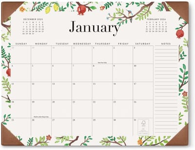 Bureaukalender 2025-2026 - Grote planner - Thuis en school - Van nu tot december - 21 x 165 inch