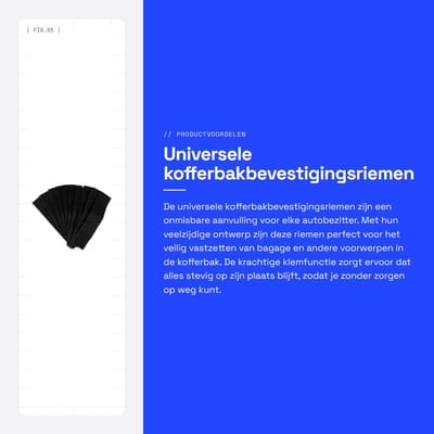 Dailygoods- Kofferbakbevestigingsriemen Universeel - Sterke Spanbanden - Multifunctionele Sjorband - Auto-accessoires - Duurzaam Materiaal - Eenvoudige Bediening - Spanband