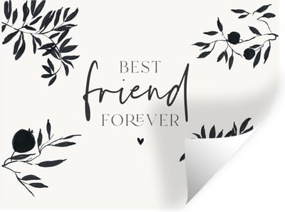 Muurstickers - Sticker Folie - Best friends - Best friend forever - BFF - Quotes - Spreuken - 40x30 cm - Plakfolie - Muurstickers Kinderkamer - Zelfklevend Behang - Zelfklevend behangpapier - Stickerfolie