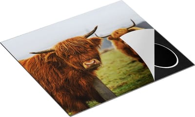 Chefcare Inductie Beschermer Twee Schotse Hooglanders in de Weide - 60x50 cm - Afdekplaat Inductie - Kookplaat Beschermer - Inductie Mat