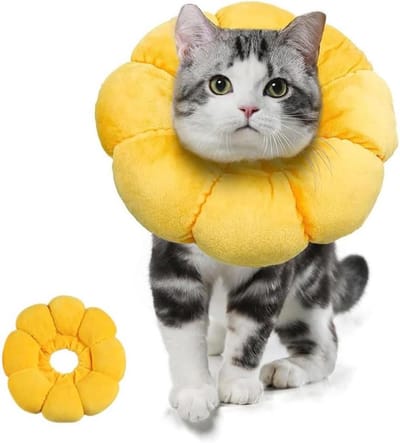 Herstelhalsband voor katten - Zonnebloem patroon (M) 1 stuk
