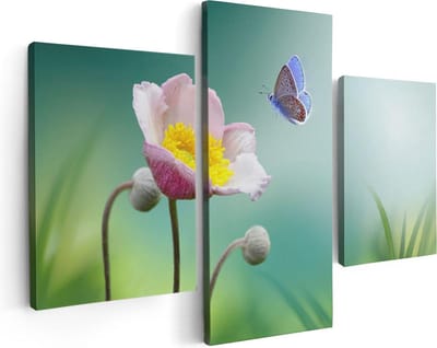 Artaza Canvas Schilderij Drieluik Roze Anemoon Bloem Met Een Blauwe Vlinder - 90x60 - Foto Op Canvas - Canvas Print