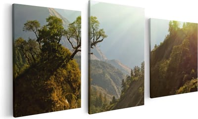 Artaza Canvas Schilderij Drieluik Bos In De Bergen Met Zonneschijn - Kleur - 120x60 - Foto Op Canvas - Canvas Print