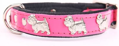 Dog's Companion Leren Halsband - Westie - Lengte: 45cm - Verstelbaar 35-41 cm x 20 mm - Roze / Zwart