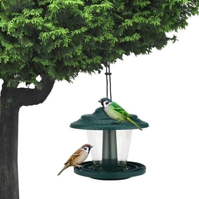 Mangeoire pour oiseaux sauvages suspendue d'extérieur, pavillon transparent suspendu en plastique pour décoration de jardin et d'arrière-cour vert