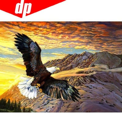 Eagle Diamond Borduurwerk 5D DIY Diamond Schilderij Kruissteek Afbeelding Volledige Ronde Diamant 30X40