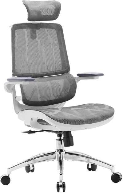 SIHOO M59 Ergonomische Bureaustoel - 3D Opklapbare Armleuningen - Dubbel Rugleuningontwerp en Dynamische Lendensteun - Kantoor/Thuis/Gaming - Grijs