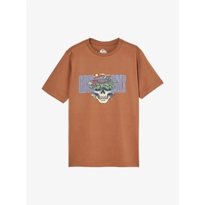 Quiksilver Paradise Point T-shirt Met Korte Mouwen Bruin 14 Years Jongen