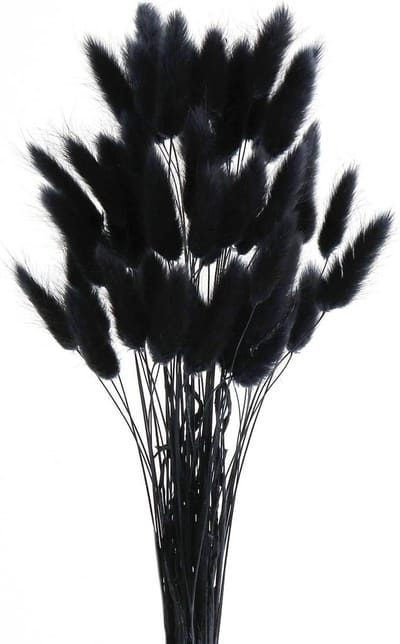 Fluffy Dried Flowers - 60 Stuks Gedroogde Pampas Grassen van 45 cm - Natuurlijke Decoratie voor Huis en Bruiloft
