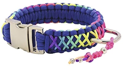 Zilveren Twine Regenboog Gevlochten Halsband met Zilveren Bedel, 50 cm
