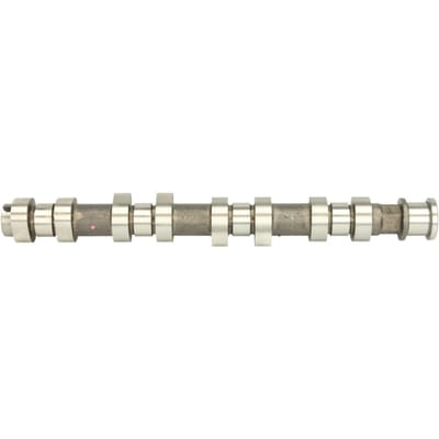 Nokkenas  AE CAM907