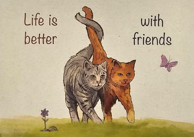 Ansichtkaarten "Life is better.." (15x10,5cm) 5 stuks