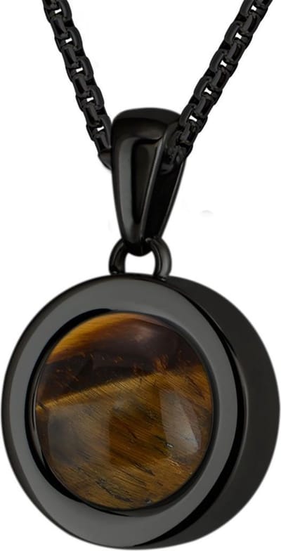 Quiges 12mm Mini Munt Hanger Zwart RVS Glans met Tijgersoog Bruin Munt en Box Ketting Ankerketting 42-46cm