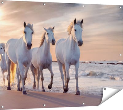 Gards Tuinposter Witte Paarden op het Strand bij Water - 120x90 cm - Tuindoek - Tuindecoratie - Wanddecoratie buiten - Tuinschilderij