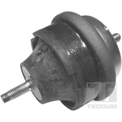 Aslichaam-/motorsteunlager TEDGUM 00145015