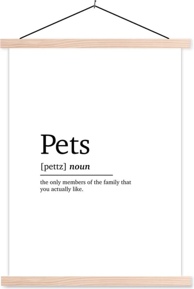 Posterhanger incl. Poster 87x120 cm - Schoolplaat - Huisdieren definitie - Quotes - Spreuken - Pets - Woordenboek - Textielposter - Blanke latten