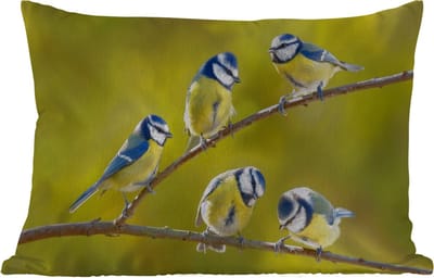 Buitenkussens - Tuin - Vogel - Pimpelmees - Takken - Zon - 50x30 cm