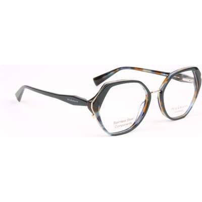 Ana Hickmann Optical Frame HI1248 H02 53