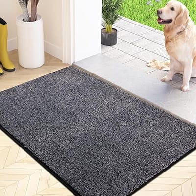 Anti-stof en anti-slip deurmat van 50 x 80 cm, wasbaar in de wasmachine, entreemat van absorberende zachte microvezel voor hond, entree, deur en hal
