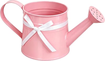 Metalen Gieter - Kleine Gieter - Planten Water Geven - Roestvrij Gegalvaniseerd - 1 Liter - Wit